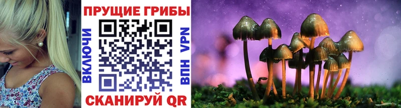 Псилоцибиновые грибы ЛСД Сенгилей