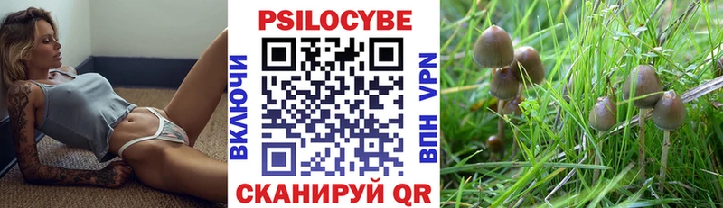 Псилоцибиновые грибы Magic Shrooms  цена   Сенгилей 